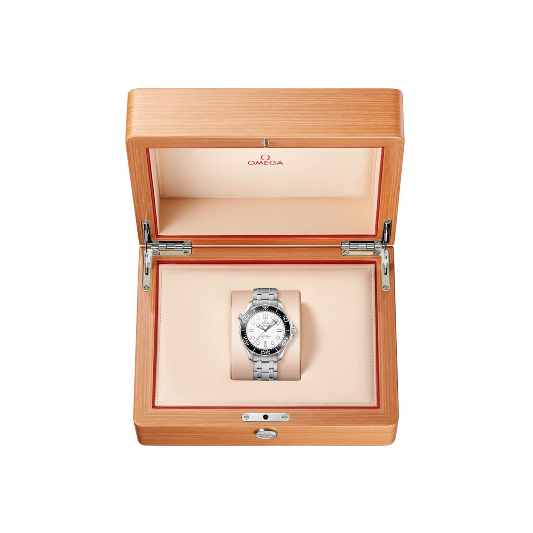 omega-seamaster-diver-300m-42mm-steel-on-steel-watch-210.30.42.20.04.001